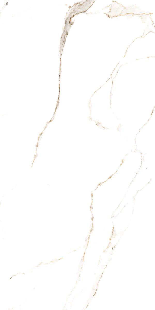 STATURIO LUX F1